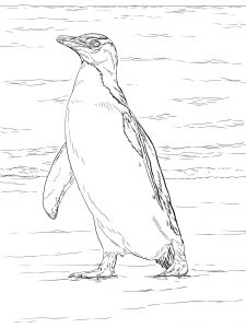 Pictures Of New Zealand Coloring Pages 225x300 Pictures Of New Zealand Coloring Pages