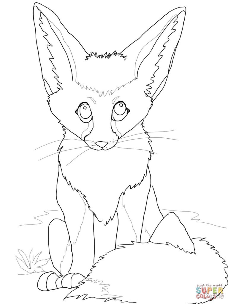 Fennec Fox Coloring Pages Free Coloring For Kids 2018 768x1024 Fennec Fox Coloring Pages Free Coloring For Kids 2018