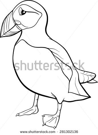 Black And White Cartoon Vector Illustration Of Atlantic Puffin 343x470 Black And White Cartoon Vector Illustration Of Atlantic Puffin