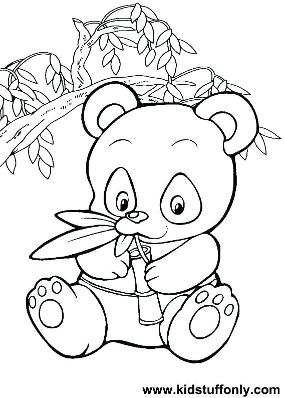 Newt Coloring Page Newt Coloring Page Newt Coloring Page Newt 567x794 Newt Coloring Page Newt Coloring Page Newt Coloring Page Newt