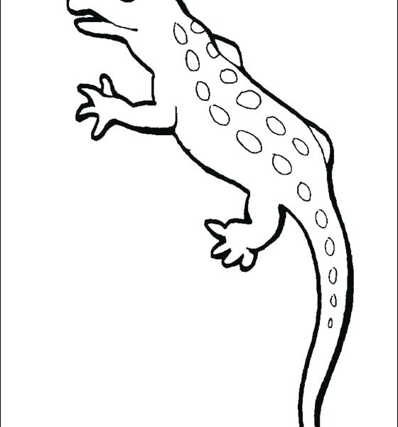 Newt Coloring Page Newt Coloring Pages Fancy Newt Coloring Page 560x600 Newt Coloring Page Newt Coloring Pages Fancy Newt Coloring Page