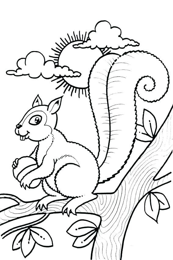 Scaredy Squirrel Coloring Sheet Printable Coloring Newt Coloring 567x850 Scaredy Squirrel Coloring Sheet Printable Coloring Newt Coloring