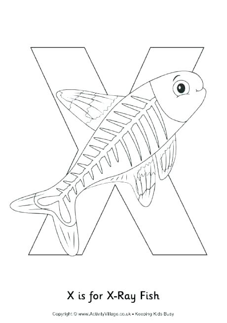 Newt Coloring Page 460x654 Newt Coloring Page