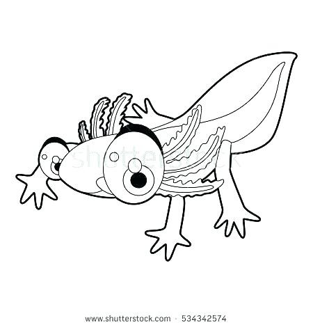 Letter N Coloring Pages Newt Coloring Page Letter N Coloring Pages 450x470 Letter N Coloring Pages Newt Coloring Page Letter N Coloring Pages