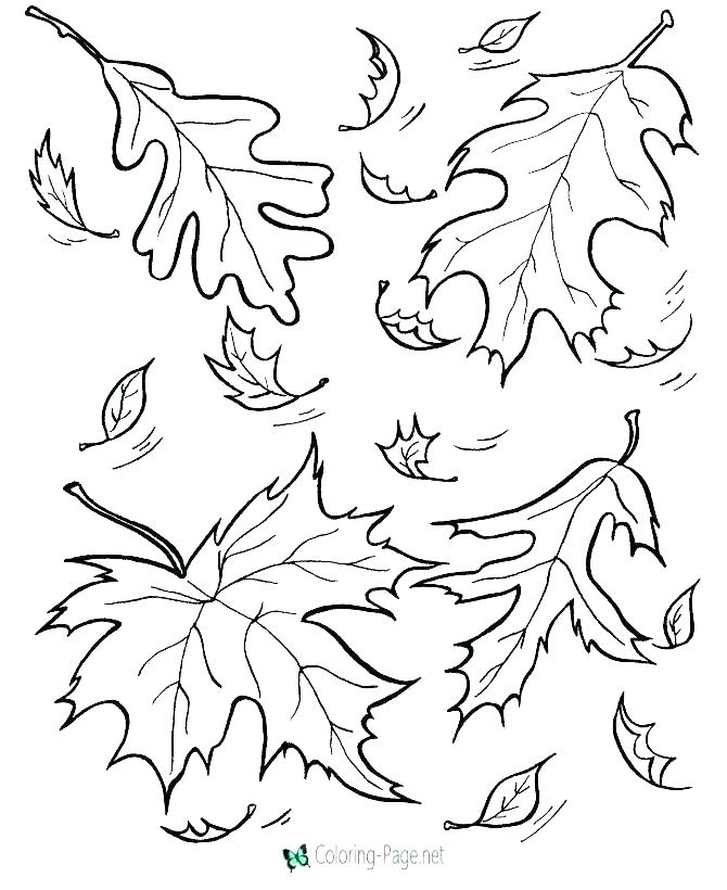 670x820 Coloring Page Fall Free Printable Autumn Coloring Pages Autumn