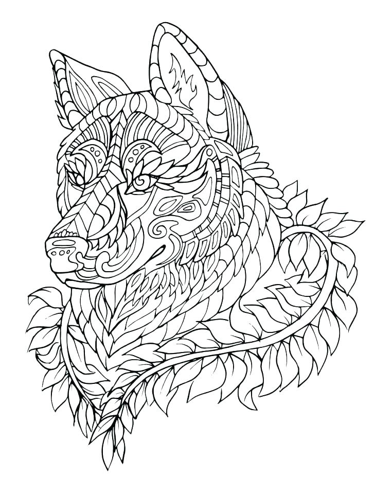 727x960 Niagara Falls Coloring Pages Realistic Wolf Page To Print