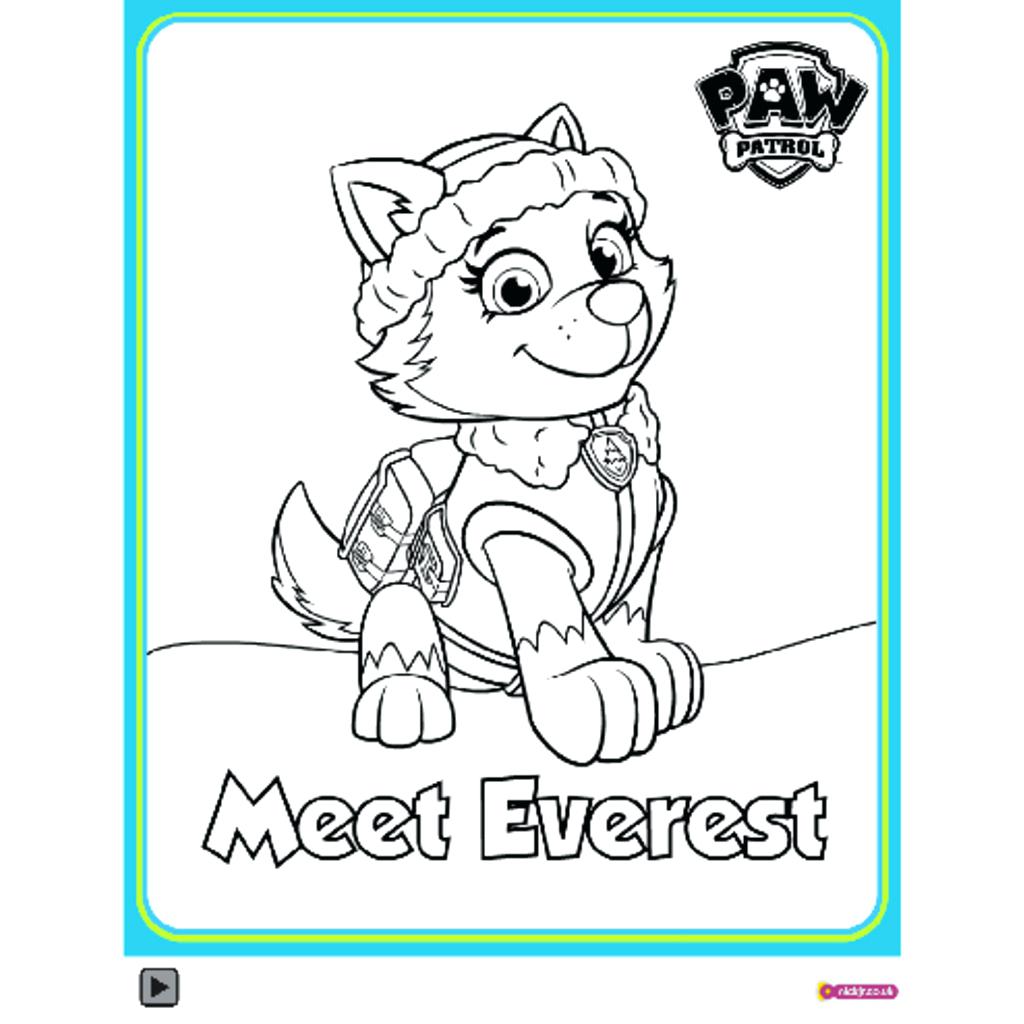 Nick Jr Coloring Pages Paw Patrol at GetColorings.com | Free printable