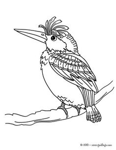 236x305 Nightingale Coloring Page Paper Nightingale, Bird