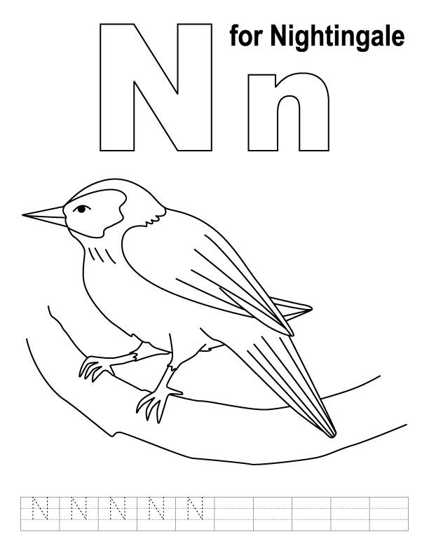 612x792 The Best Nightingale Animal Coloring Pages Image Collections