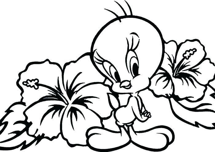 700x495 Tweety Bird Pictures To Color Bird Pictures To Color Coloring Page