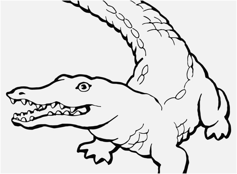 827x609 Alligator Coloring Pages Image Crocodile Coloring Pages