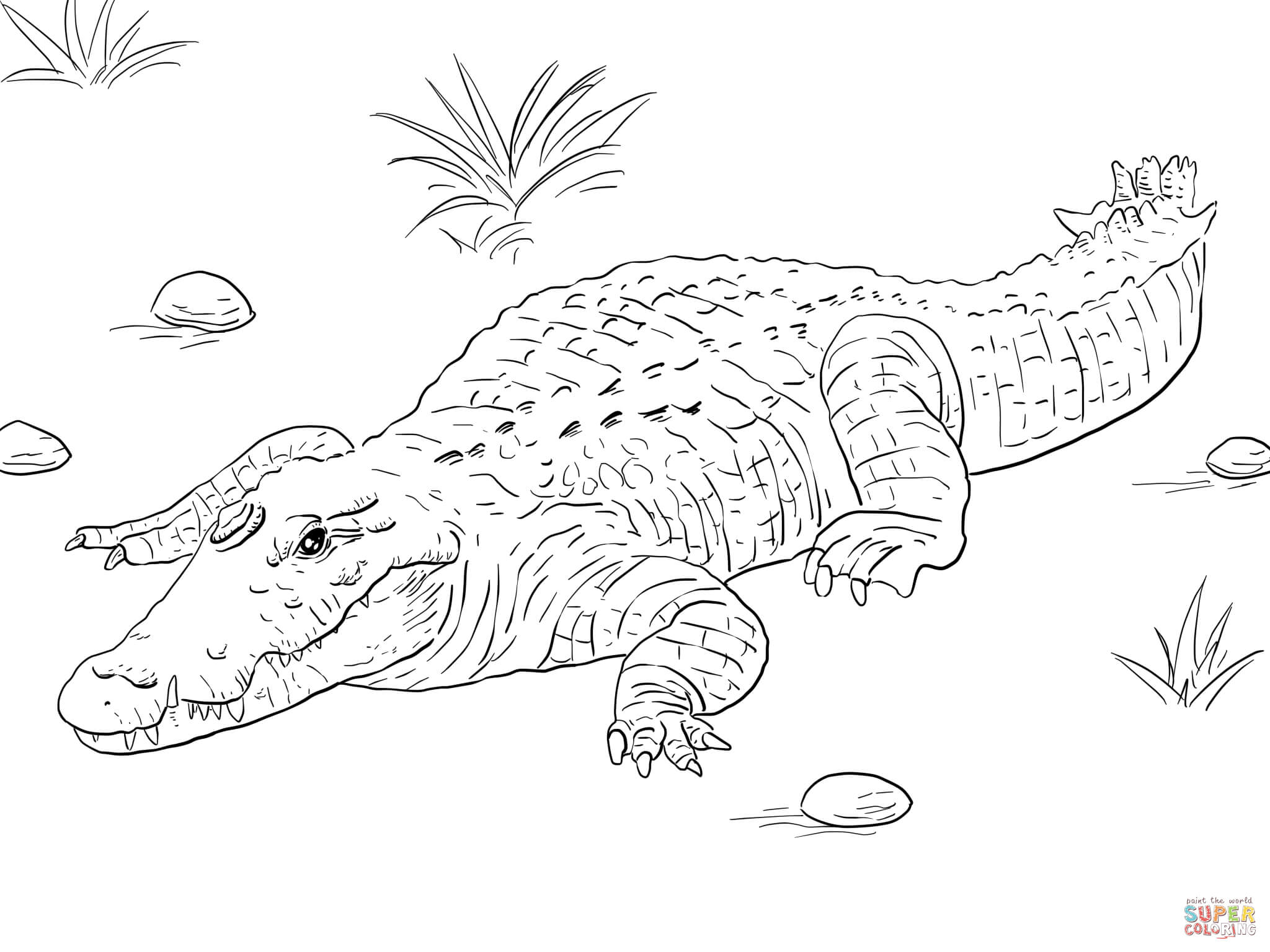 2048x1536 Nile Crocodile Coloring Pages