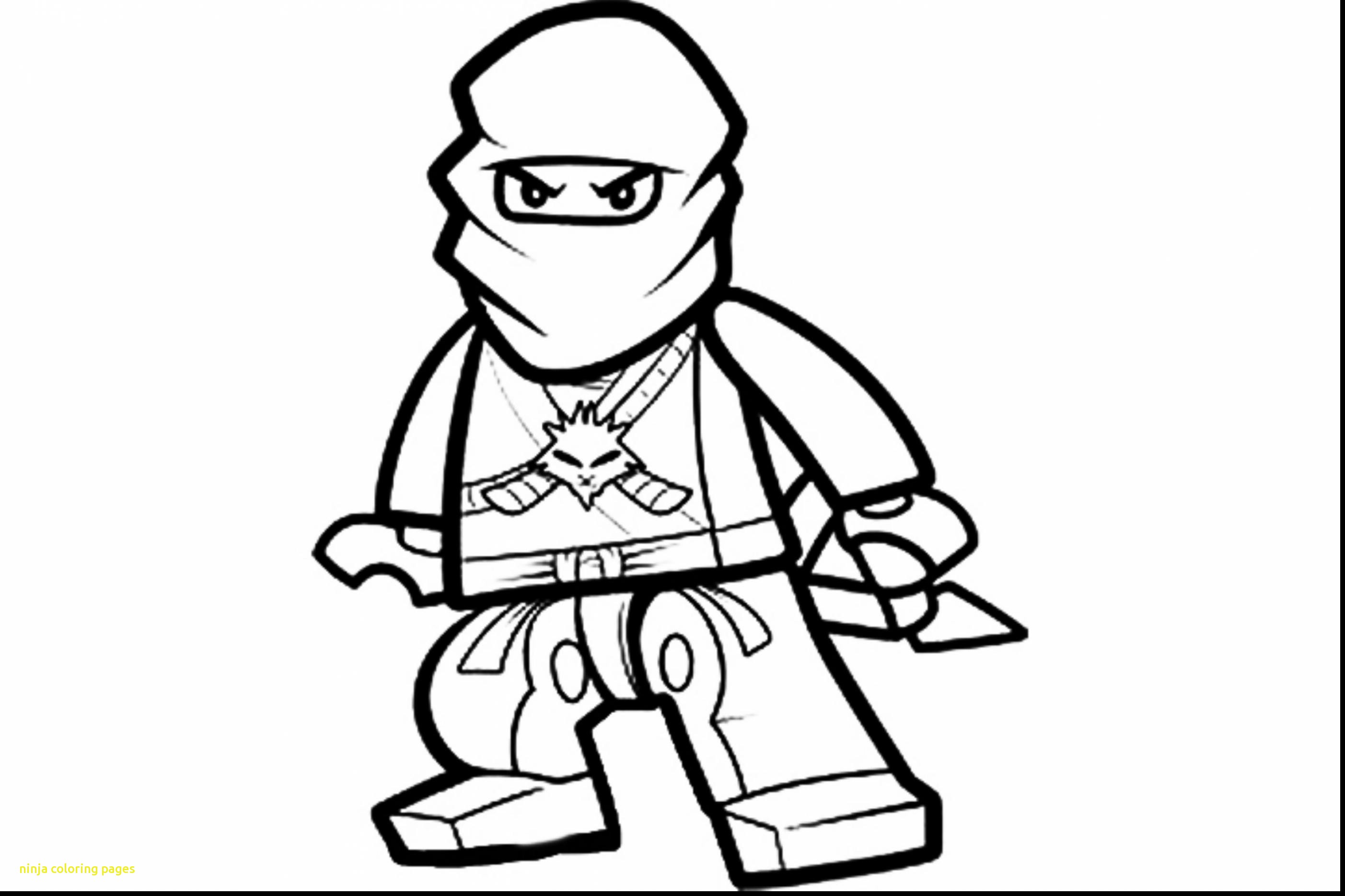 2806x1870 Ninja Coloring Page