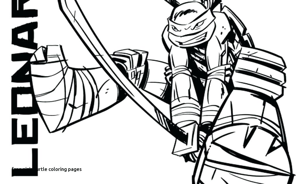 Turtle Coloring Page Ninja Turtles Coloring Pages Printable 1048x632 Turtle Coloring Page Ninja Turtles Coloring Pages Printable