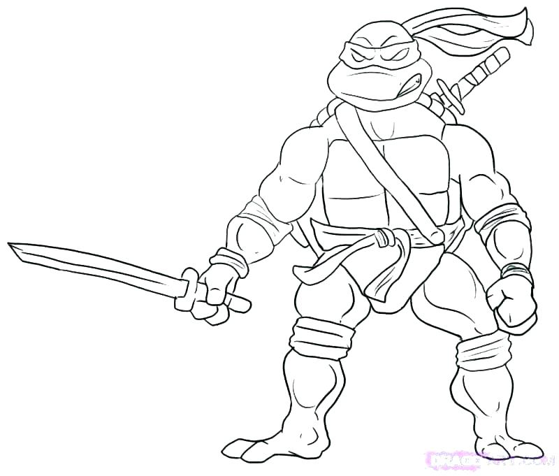 Tmnt Coloring Page Coloring Pages Free Coloring Pages Ninja Turtle 800x681 Tmnt Coloring Page Coloring Pages Free Coloring Pages Ninja Turtle