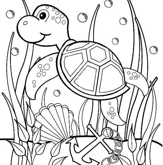 570x576 Turtles Coloring Pages Turtles Coloring Pages Baby Sea Turtle