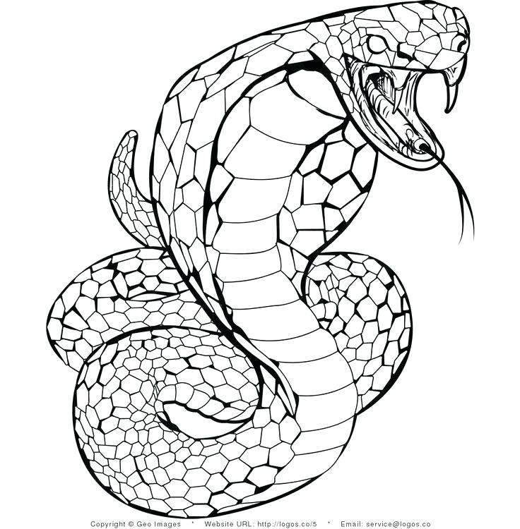 736x750 Ninjago Snakes Coloring Pages Kids Coloring Snake Color Page Year
