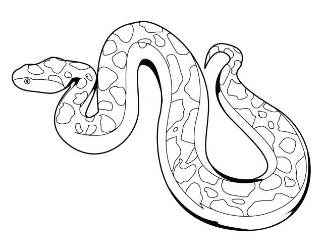 640x495 Coloring Page Snake Snake Pictures To Color Snakes Coloring Pages