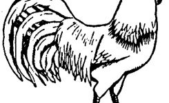 245x150 Free Coloring Pages Of Nissan Skyline R35 New Coloring Sheets