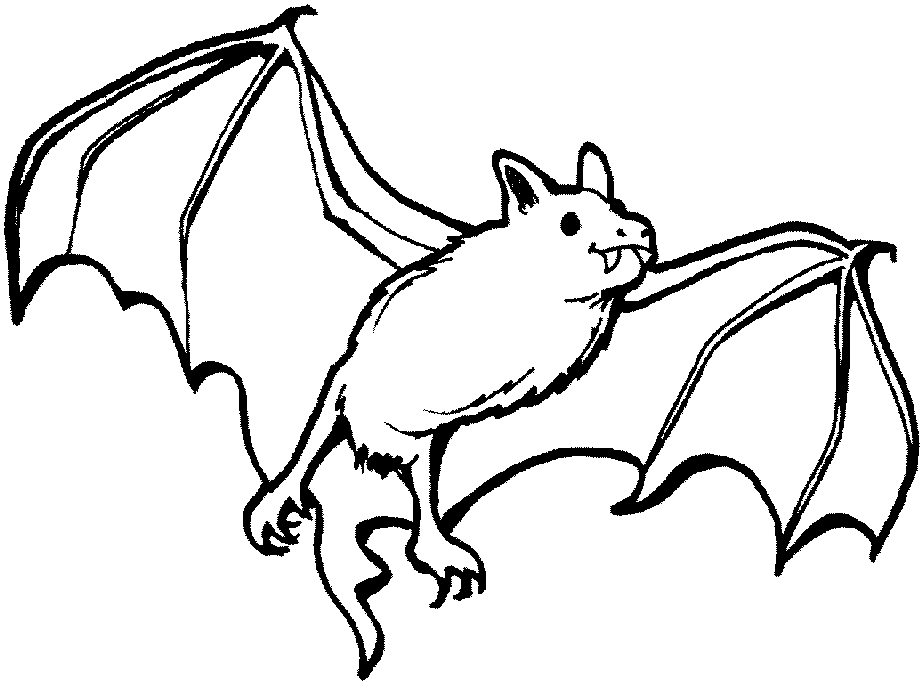 27 Bat Coloring Pages Pictures Free Coloring Pages 922x683 27 Bat Coloring Pages Pictures Free Coloring Pages