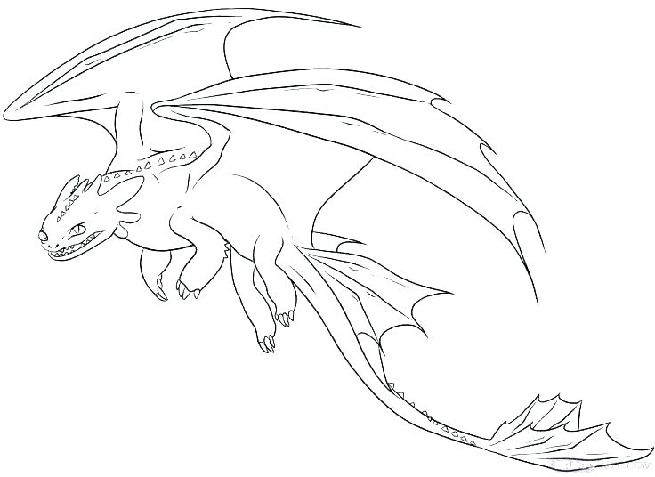 Wild Animals Coloring Pages Wild Animal Safari Coloring Pages 736x536 Wild Animals Coloring Pages Wild Animal Safari Coloring Pages