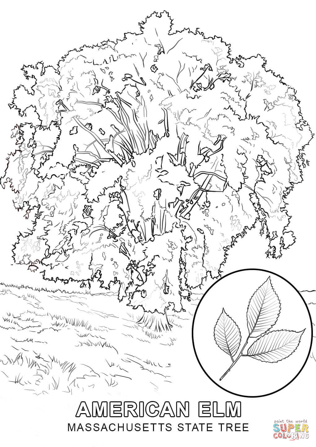 Coloring Pages Draw A Tree Coloring Pages 1020x1440 Coloring Pages Draw A Tree Coloring Pages