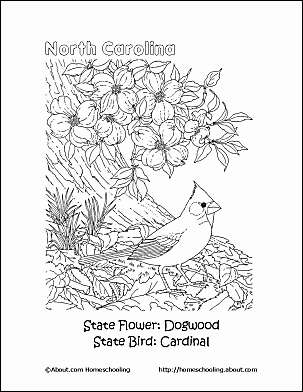 Mountain Coloring Pages Amp Printables Appalachian Mountains 303x392 Mountain Coloring Pages Amp Printables Appalachian Mountains