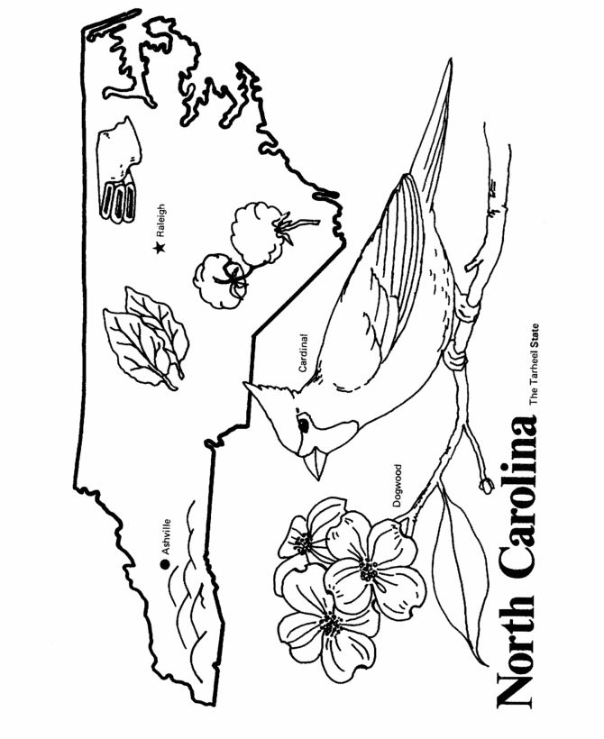 North Carolina State Symbols Coloring Pages at GetColorings.com | Free ...