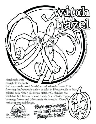 306x396 South Carolina Coloring Page Coloring Page State Symbol Coloring