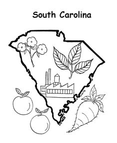 North Carolina State Symbols Coloring Pages at GetColorings.com | Free ...