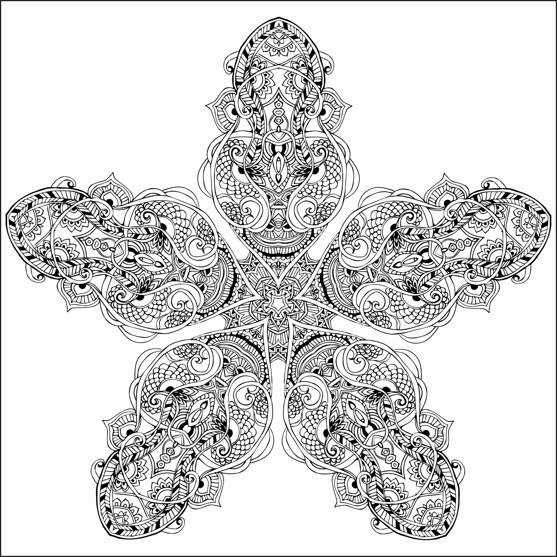 Moon And Stars Coloring Pages Printable Newcoloring123 1904x1904 Moon And Stars Coloring Pages Printable Newcoloring123