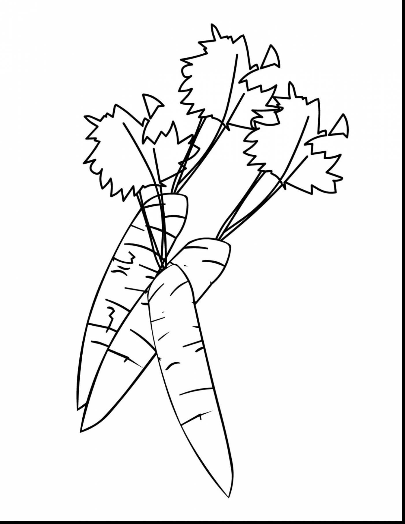 1402x1815 Carrot With Leaves Vegetables Coloring Pages For Kids Lovely Nose
