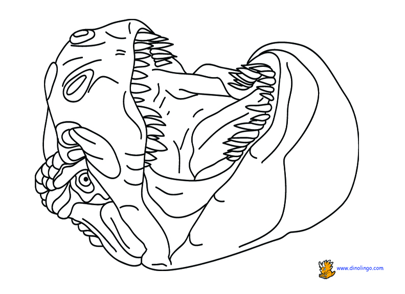 792x576 Dinosaur Coloring Pages Dino Lingo Blog