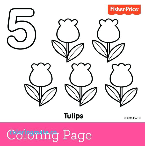 600x605 Number 5 Coloring Page Number 5 Coloring Page Lovely Learning