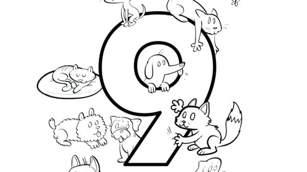 600x337 Different Coloring Pages Learn Number 9 With Nine Different