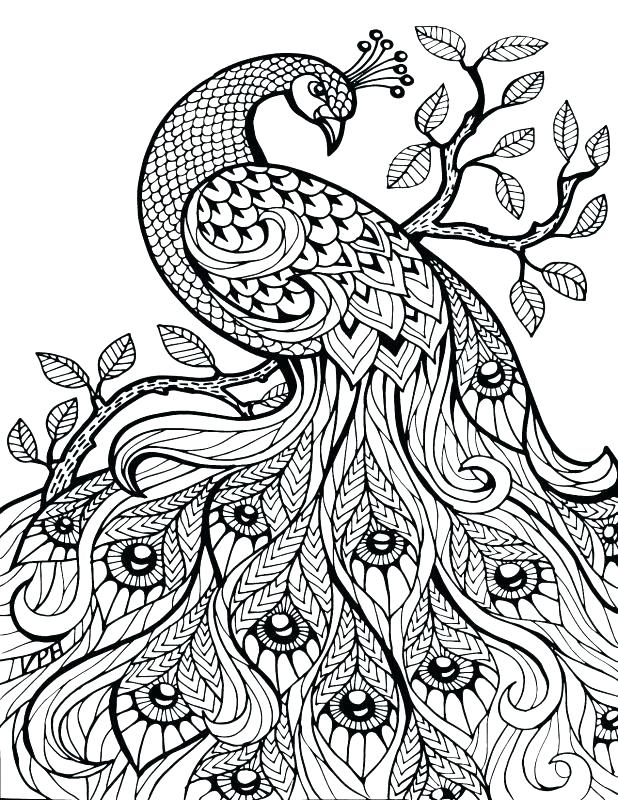 Advanced Color By Number Coloring Pages Color By Number Page Free 618x800 Advanced Color By Number Coloring Pages Color By Number Page Free