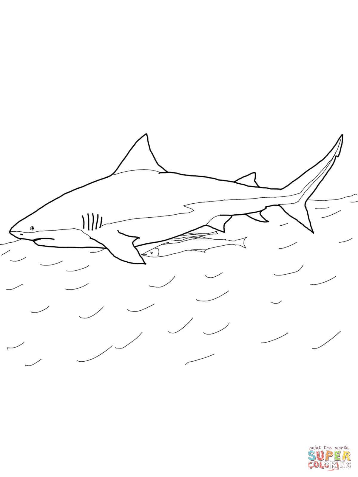 Nurse Shark Coloring Pages 1200x1600 Nurse Shark Coloring Pages