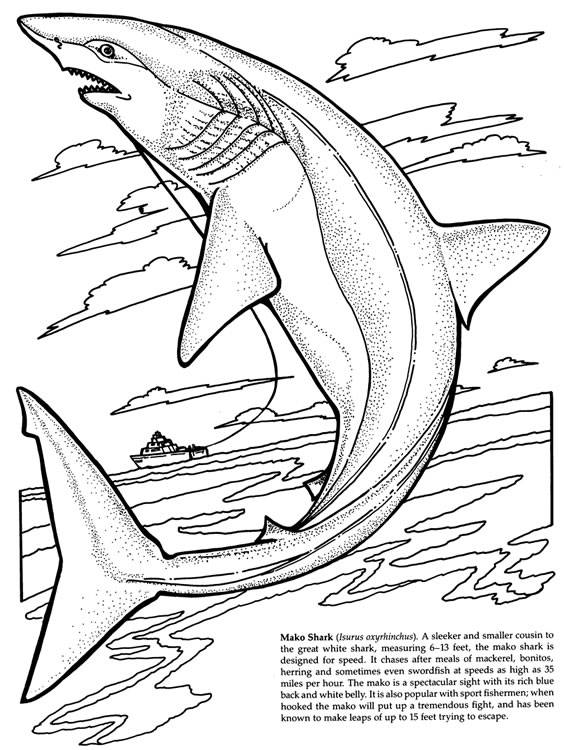 Nurse Shark Coloring Page Animals Town Animals Color Sheet Nurse 564x750 Nurse Shark Coloring Page Animals Town Animals Color Sheet Nurse