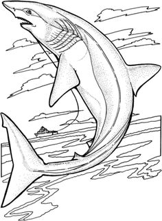 Sea Creature Coloring Pages Free Printable, Embroidery And Patterns 236x321 Sea Creature Coloring Pages Free Printable, Embroidery And Patterns