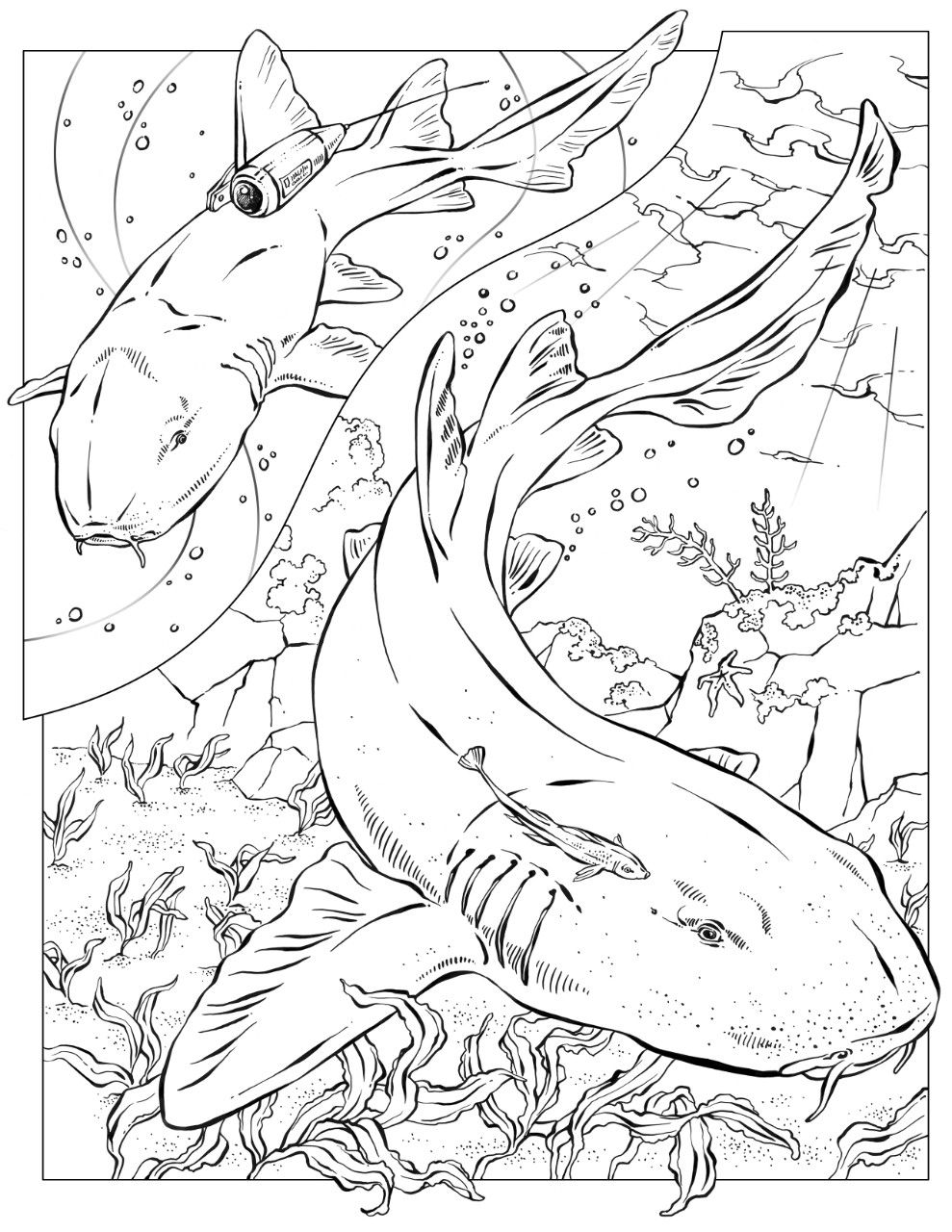 Coloring Book Animals (J To Z) Nurse Shark, Tattoo And Tatting 989x1280 Coloring Book Animals (J To Z) Nurse Shark, Tattoo And Tatting