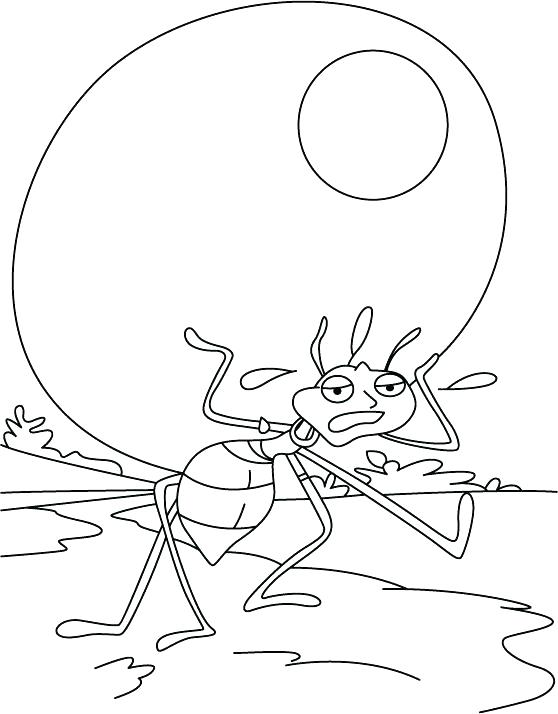 558x714 Ants Coloring Pages Nuts Load Ant Alone Coloring Pages Cute Ant