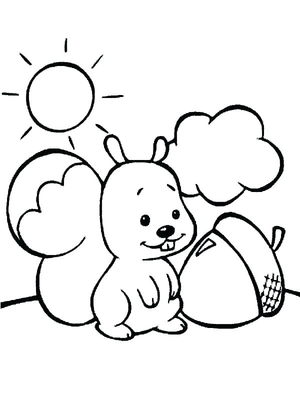 600x800 Squirrel Coloring Page Squirrel Coloring Page Collection Squirrel