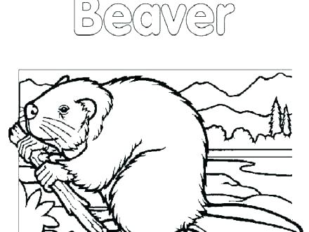 Yankees Coloring Pages Awesome Of Baseball Coloring Pages Stock Ny 440x330 Yankees Coloring Pages Awesome Of Baseball Coloring Pages Stock Ny