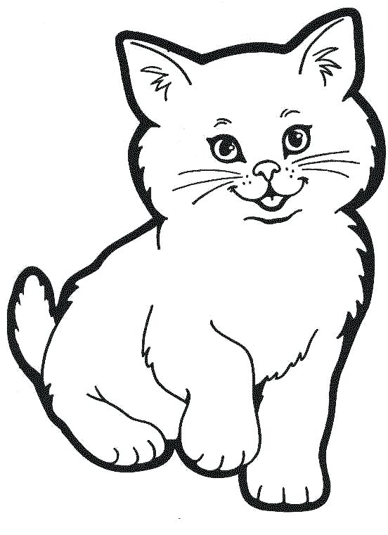 Cat Color Page Cat Coloring Pages Realistic Tabby Cat Coloring 552x761 Cat Color Page Cat Coloring Pages Realistic Tabby Cat Coloring