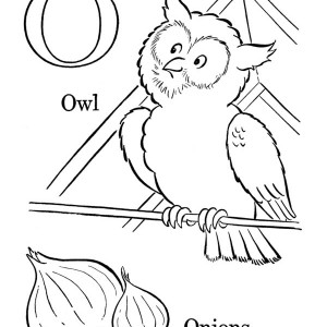 300x300 Preschool Kids Learning Owl For Letter O Coloring Page Best