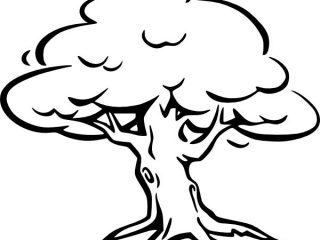 Tree Pictures For Colouring Oak Tree Coloring Page For Kids Color 320x240 Tree Pictures For Colouring Oak Tree Coloring Page For Kids Color