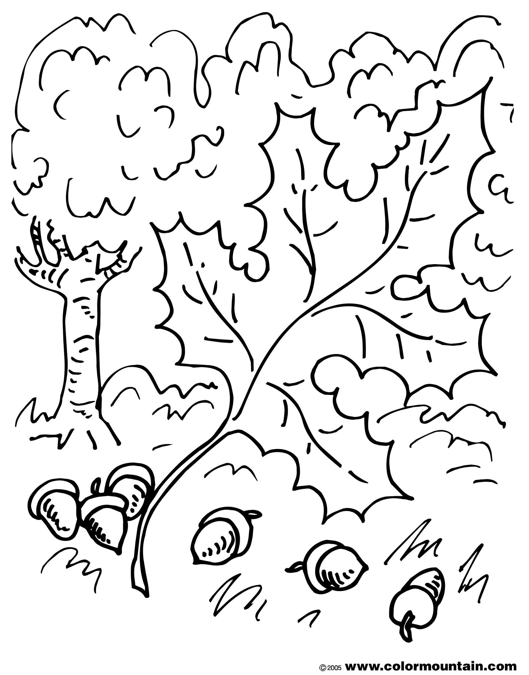 Awesome Excellent Acorn Tree Coloring Page Ideas Example Resume 1800x2294 Awesome Excellent Acorn Tree Coloring Page Ideas Example Resume
