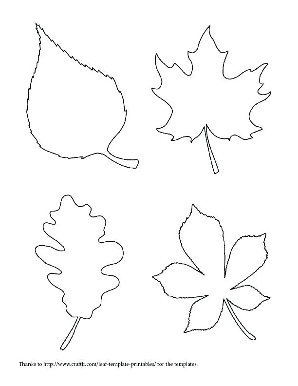 Oak Leaf Coloring Page Jungle Leaves Coloring Pages Oak Oak Leaves 612x792 Oak Leaf Coloring Page Jungle Leaves Coloring Pages Oak Oak Leaves