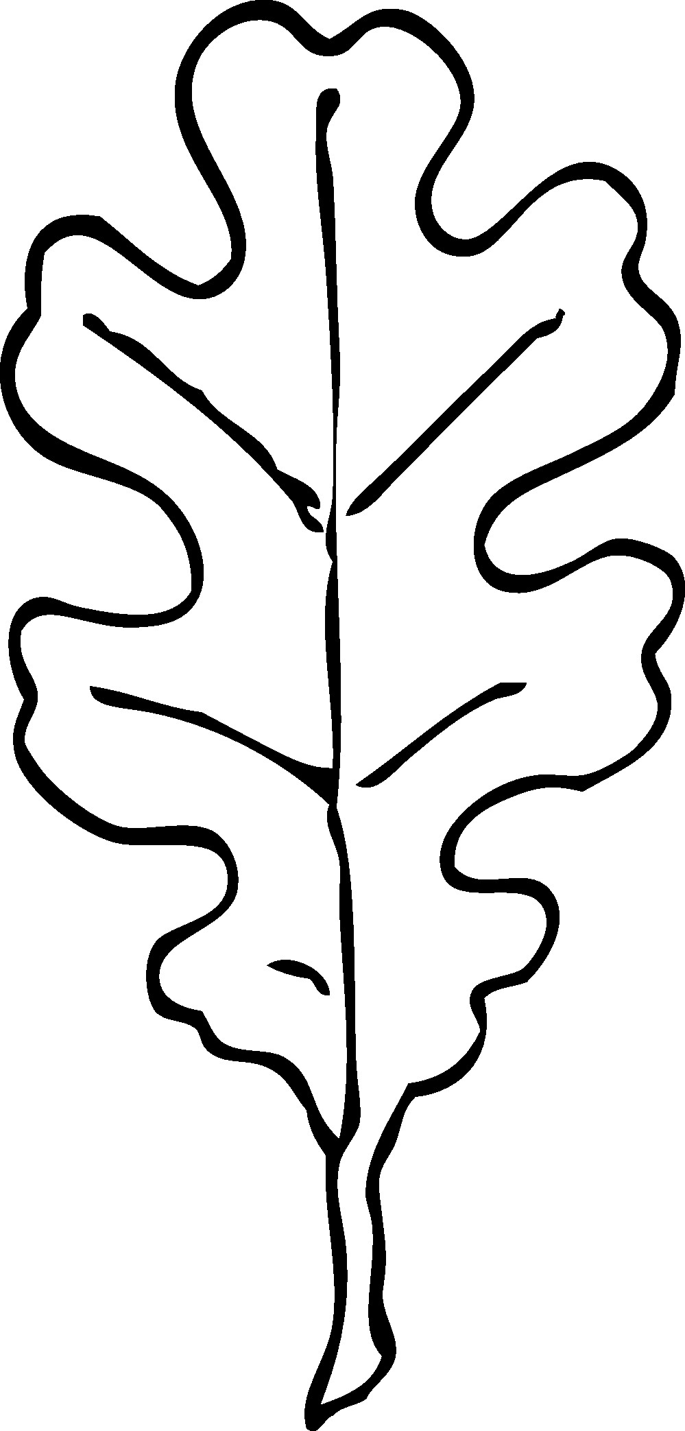 Oak Leaf Nature Coloring Page For Kids Beautiful Leaf Outlines 999x2086 Oak Leaf Nature Coloring Page For Kids Beautiful Leaf Outlines
