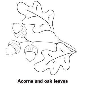 Printable Thanksgiving Coloring Pages Oak Leaves, Thanksgiving 300x300 Printable Thanksgiving Coloring Pages Oak Leaves, Thanksgiving